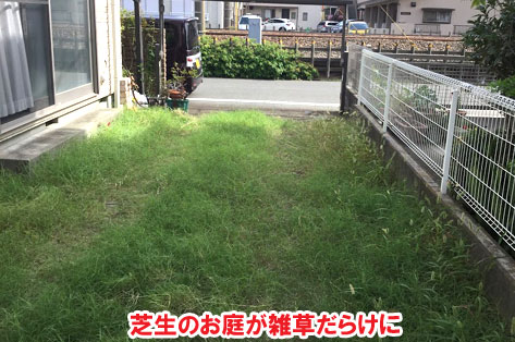 芝生のお庭が雑草だらけに／神奈川県藤沢市Ｈ様事例　プロに相談して庭をやり直し・やり替え　大人シックなエレガントでおしゃれなコンクリートの庭に