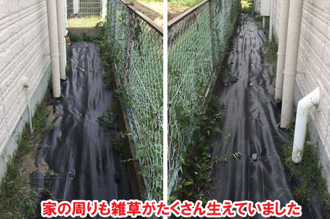 家の周りも雑草がたくさん生えていました／神奈川県藤沢市Ｈ様事例　プロに相談して庭をやり直し・やり替え　大人シックなエレガントでおしゃれなコンクリートの庭に