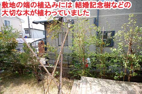 敷地の端の植込みには 結婚記念樹などの大切な木が植わっていました～神奈川県藤沢市Ｔ様事例　芝生の庭を後悔、芝生をやめたい。生の庭が雑草だらけで後悔！ウッドデッキでアウトドアリビング庭工事リフォーム