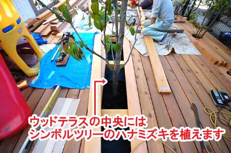 ウッドテラスの中央にはシンボルツリーのハナミズキを植えます～神奈川県藤沢市Ｔ様事例　芝生の庭を後悔、芝生をやめたい。生の庭が雑草だらけで後悔！ウッドデッキでアウトドアリビング庭工事リフォーム