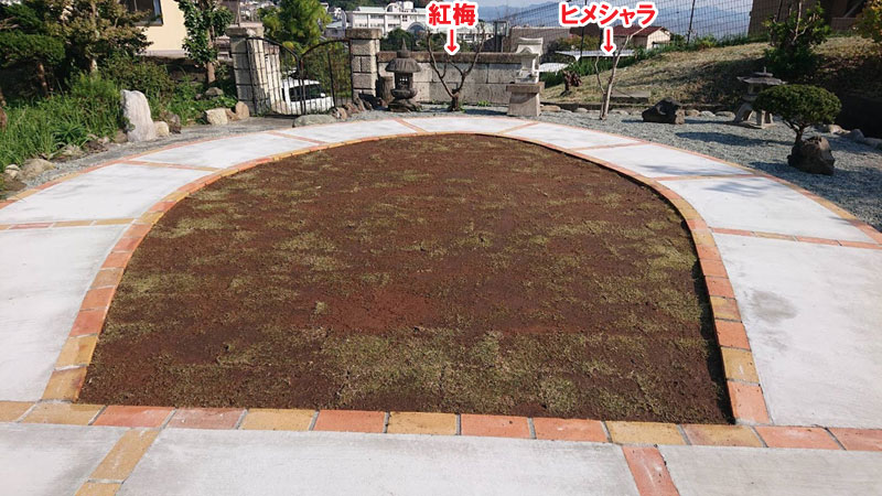 弊社は植木のプロなので安心してお任せいただけます　広い庭・広すぎる庭の実家リフォーム・実家の庭リフォーム～コンクリートと芝生の雑草対策造園で管理が楽なお庭　神奈川県横須賀市施工事例