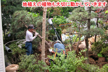 地植えの植物も大切に動かしていきます　レンガとジェラストーンの石張りデザインでおしゃれ・素敵な洋風ガーデン庭づくり～神奈川県茅ヶ崎市造園リフォーム