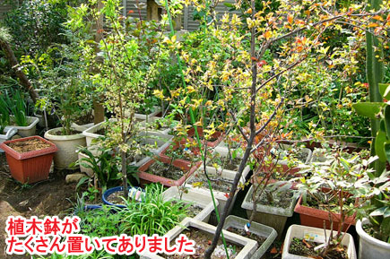 植木鉢がたくさん置いてありました　レンガとジェラストーンの石張りデザインでおしゃれ・素敵な洋風ガーデン庭づくり～神奈川県茅ヶ崎市造園リフォーム