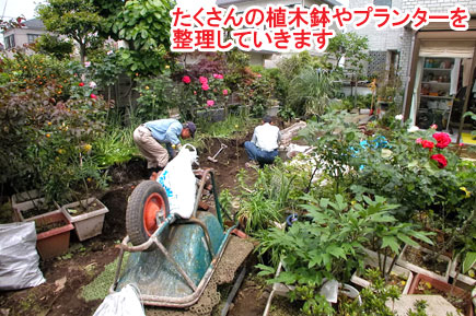 たくさんの植木鉢やプランターを整理していきます　レンガとジェラストーンの石張りデザインでおしゃれ・素敵な洋風ガーデン庭づくり～神奈川県茅ヶ崎市造園リフォーム