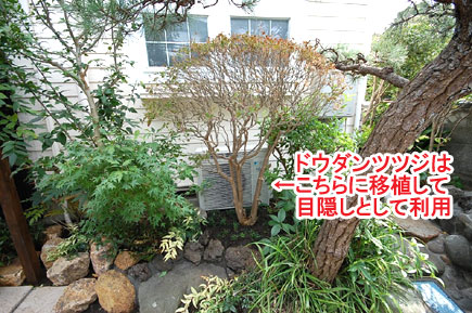 ドウダンツツジはこちらに移植して目隠しとして利用／神奈川県藤沢市Ｙ様邸事例～相続した和風庭園をモダンに、和テイストの庭をアレンジして和モダンの庭に造園リフォーム
