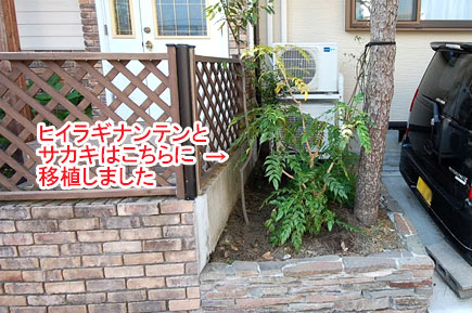 ヒイラギナンテンとサカキはこちらに移植しました／神奈川県藤沢市Ｙ様邸事例～相続した和風庭園をモダンに、和テイストの庭をアレンジして和モダンの庭に造園リフォーム