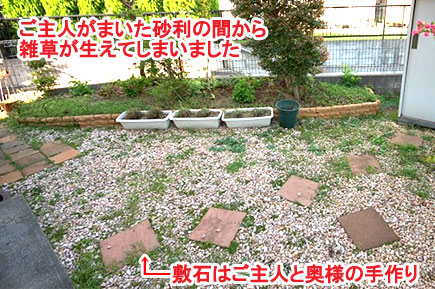 ご主人がまいた砂利の間から雑草が生えてしまいました　神奈川県横浜市 スタイリッシュな庭,かっこいい庭,カフェ風の広いお庭,収納,床下収納,ウッドデッキ,おしゃれ,レイアウトの造園施工事例