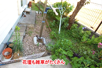 花壇も雑草がたくさん　神奈川県横浜市 スタイリッシュな庭,かっこいい庭,カフェ風の広いお庭,収納,床下収納,ウッドデッキ,おしゃれ,レイアウトの造園施工事例