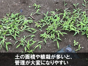 土の面積や植栽が多いと、管理が大変になりやすい~別荘・実家の庭リフォーム|手入れが楽でおしゃれな雑草対策と施工事例/おしゃれ,別荘,実家,空き家,セカンドハウス,別邸,別宅,雑草対策,手入れが楽,手入れが簡単,庭リフォーム