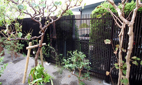 開放感があるのにしっかり目隠しフェンス施工事例／おしゃれな外構のつくり方｜家の印象が変わる基本とコツおしゃれな外構のつくり方｜家の印象が変わる基本とコツ～おしゃれ,外構,エクステリア,リフォーム,庭改修,庭工事,一軒家,戸建て,デザイン,レイアウト,スタイリッシュ,上品,オープン外構,クローズ外構,駐車場,目隠し,アプローチ,目隠し,門まわり,フェンス