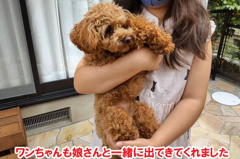 犬と猫が自由に過ごせる石張りの洋風ガーデン施工例　犬,猫,フリースペース,石張り,ジェラストーン,飛び出し防止フェンス～横浜市K様ジェラストーン、アルミフェンス事例