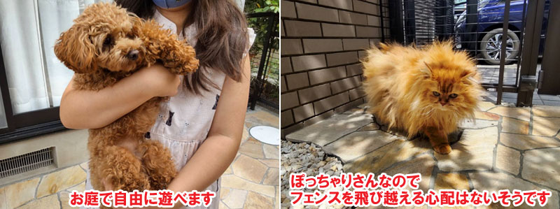 犬と猫が自由に遊べる洋風ガーデン/犬の飛び出し防止ウッドフェンス/柵のお庭施工事例～ペットの庭 神奈川県,鎌倉市,横浜市,川崎市,相模原市,藤沢市,茅ヶ崎市,厚木市,大和市,海老名市,小田原市,二宮町,大磯町,寒川町,平塚市