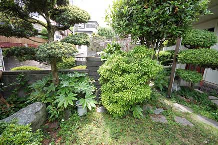 広い和風庭園は当時のまま～相続した古い庭を空き家にせず、おしゃれなドッグランにリフォーム！管理の楽な庭に～神奈川県藤沢市の造園業者・外構業者