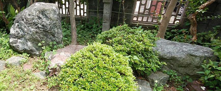 神奈川県 藤沢市 庭園 リノベーション施工事例　大きな庭石がじゃま