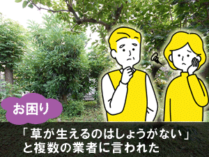 「草が生えるのはしょうがない」と複数の業者に言われた／造園業者,造園会社,外構業者,エクステリア工事業者,庭工事業者,庭リフォーム会社,庭リフォーム業者の選び方 探し方５選／業者の種類やメリット・デメリット、おすすめの信頼できる業者の探し方