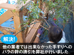 他の業者では出来なかった手すりへのバラの幹の誘引を弊社が行いました／造園業者,造園会社,外構業者,エクステリア工事業者,庭工事業者,庭リフォーム会社,庭リフォーム業者の選び方 探し方５選／業者の種類やメリット・デメリット、おすすめの信頼できる業者の探し方