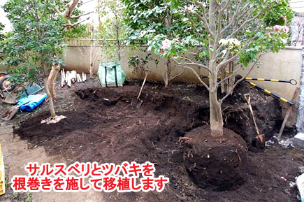 神奈川県 藤沢市 洋風庭園,庭づくり,庭木,植木,管理,ドクダミ,お手入れの造園施工事例