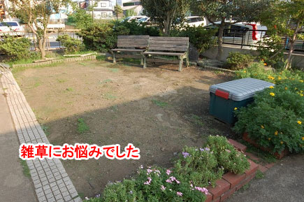 神奈川県藤沢市 洋風庭園,広い庭,造園,庭づくり,芝生,リモコン電動式門扉の施工例