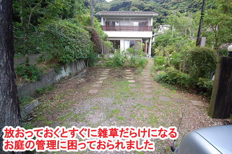 神奈川県 鎌倉市 大きな木が邪魔で切りたいというご相談　草だらけの庭はおしゃれなコンクリート敷きで雑草対策します　柑橘類の目隠しも素敵