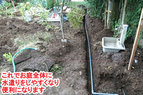 神奈川県 鎌倉市 大きな木が邪魔で切りたいというご相談　草だらけの庭はおしゃれなコンクリート敷きで雑草対策します　柑橘類の目隠しも素敵