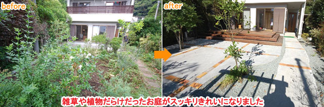 神奈川県 鎌倉市 大きな木が邪魔で切りたいというご相談　草だらけの庭はおしゃれなコンクリート敷きで雑草対策します　柑橘類の目隠しも素敵