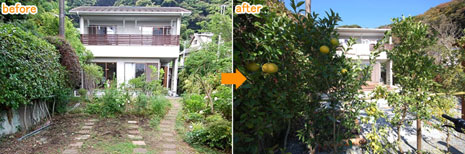 神奈川県 鎌倉市 庭園 リノベーション施工事例　他人の視線が気にならないフェンスが欲しい