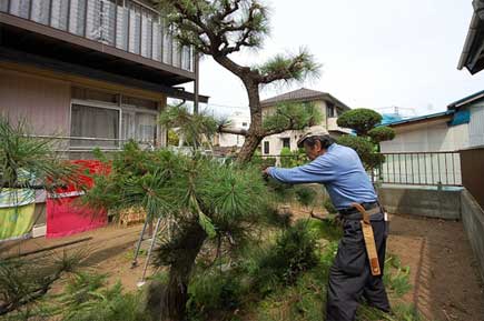 茅ヶ崎市 洋風庭園,広い庭,造園,庭づくり,ドッグラン,犬,ウッドデッキの施工事例～茅ヶ崎市の造園業者