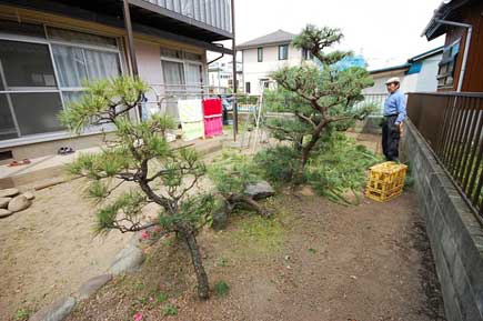 茅ヶ崎市 洋風庭園,広い庭,造園,庭づくり,ドッグラン,犬,ウッドデッキの施工事例～茅ヶ崎市の造園業者