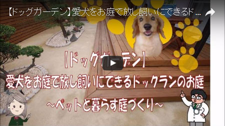 犬を自由に走らせたい！愛犬家の庭づくり～神奈川県茅ヶ崎市 M様邸造園工事例