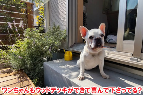 コンクリートの駐車場にウッドデッキとウッドフェンス設置で子どもと犬の遊び場にリフォーム