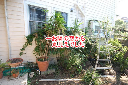 お隣の窓から丸見えでした／神奈川県藤沢市Ｙ様邸事例～相続した和風庭園をモダンに、和テイストの庭をアレンジして和モダンの庭に造園リフォーム