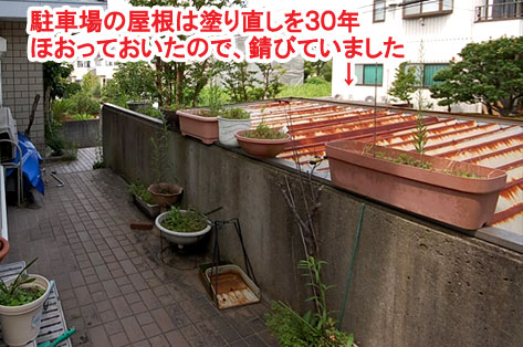 神奈川県 横浜市 雑草対策 レンガ貼り(レンガ張り) 造園、シロアリ消毒施工事例