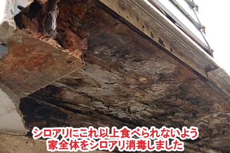 シロアリにこれ以上食べられないよう家全体をシロアリ消毒しました　神奈川県 横浜市 雑草対策 レンガ張り 造園、おしゃれな広いお庭 レイアウト